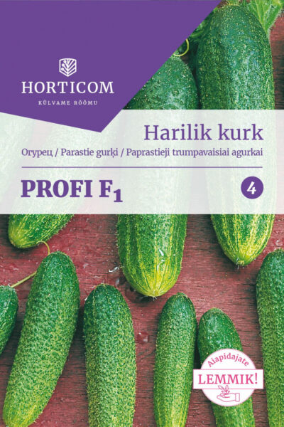 Harilik kurk Profi F1 15seemet 4