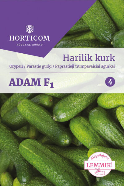 Harilik kurk Adam F1 15seemet 4