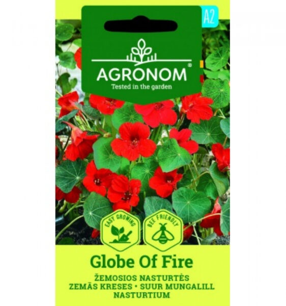 Suur mungalill Globe of Fire - Tropaeolum majus nanum