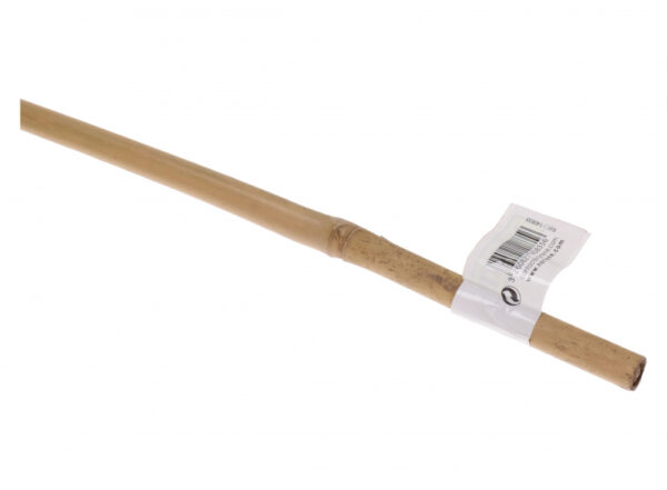 Bambustugi 180cm x 12-14mm