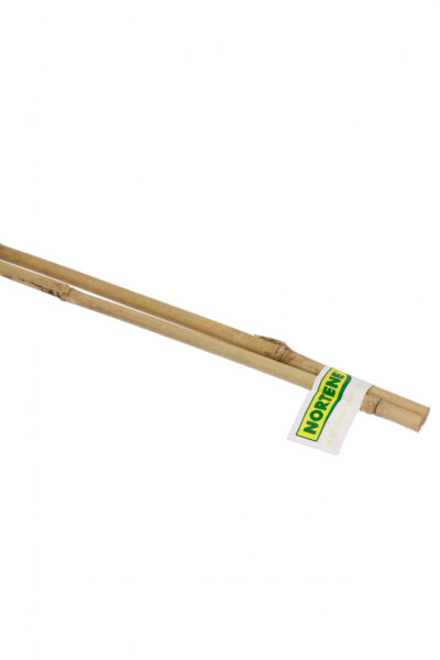 Bambustoed 150cm x 10-12mm 2tk
