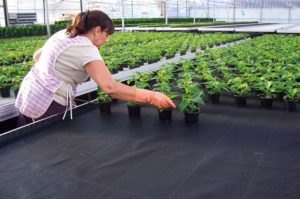 Altkastmismatt 1,0 x 40m musta kilega BMW 200g/m²