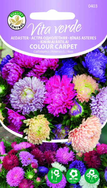 Aedaster Colour Carpet
