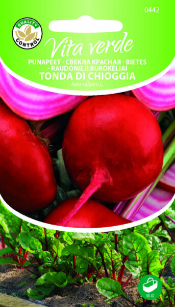 Punapeet Tonda Di Chioggia