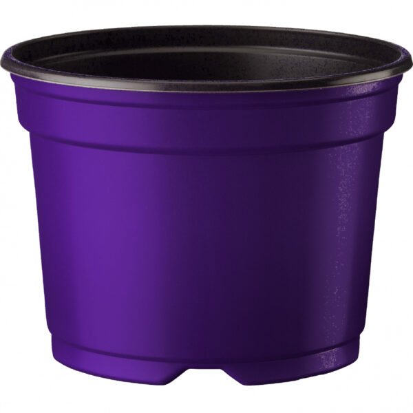Ümarpott 13cm H9,6cm lilla