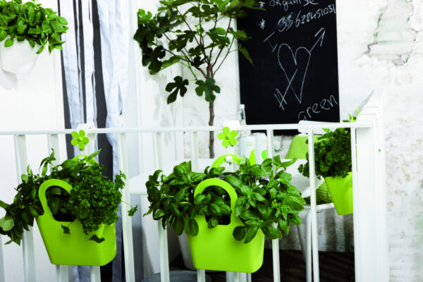 Riputi Elho Jasmin 14cm kahepoolne riputus