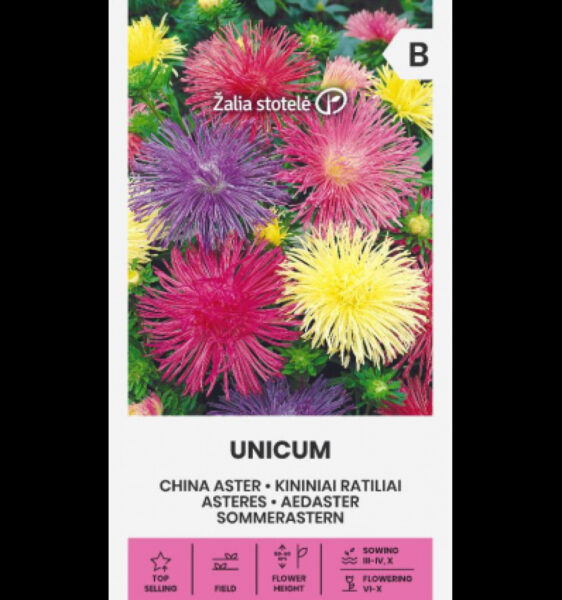 Aedaster China Aster Unicum Mix - Callistephus chinensis L. Ness