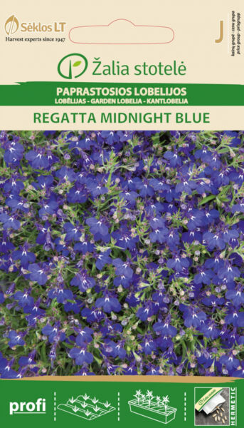 Aedlobeelia Lobelia Regatta Midnight Blue - Lobelia erinus L.