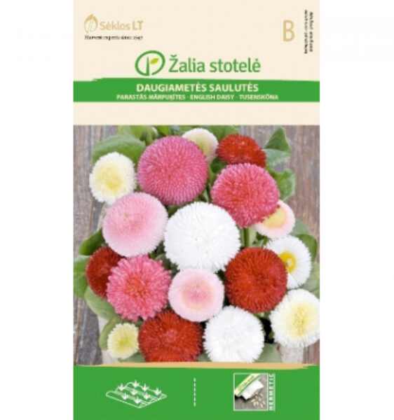 Harilik kirikakar Daisy Mix - Bellis perennis L.