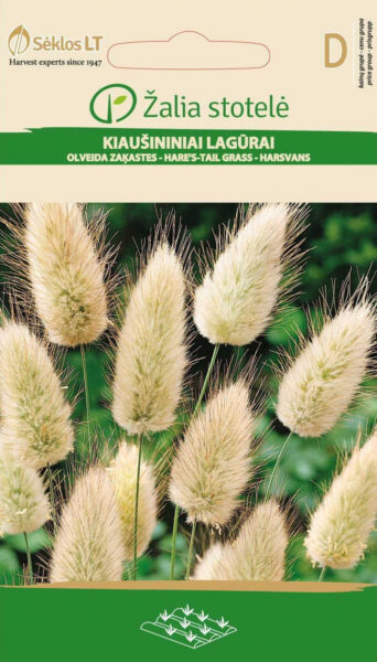 Jänesesaba Rabbit's Tail Grass - Lagurus ovatus L.