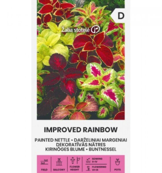 Kirinõges Painted Nettle Improved Rainbow - Coleus Blumei Benth.