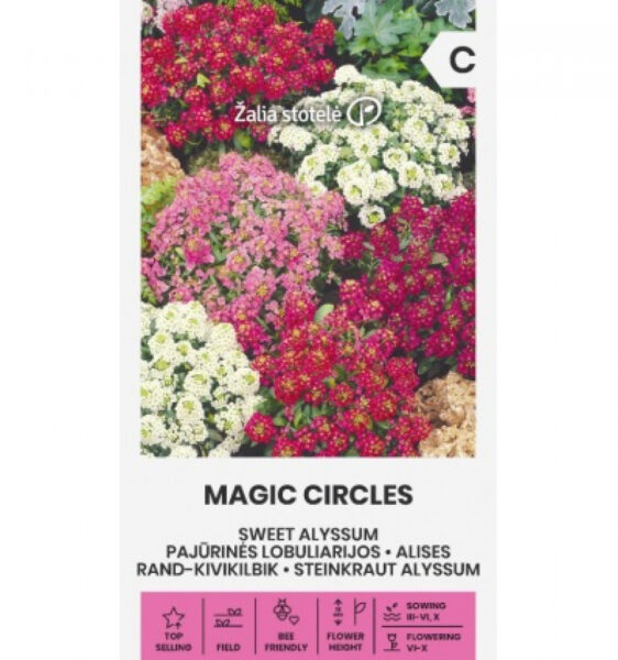 Kivikilbik Sweet Alyssum Magic Circles Mix - Lobularia maritima L. Desv.