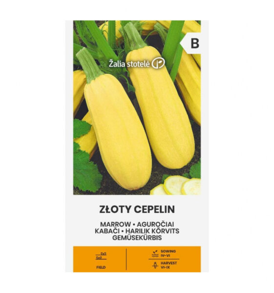 Kõrvits Zloty cepelin - Cucurbita pepo L.