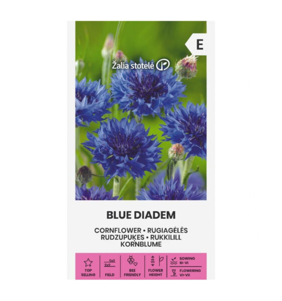 Rukkilill Cornflower Blue Diadem - Centaurea L.