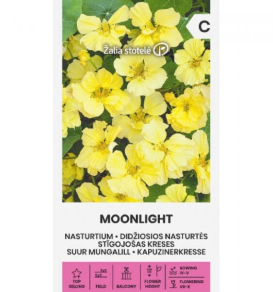 Suur mungalill Nasturtium Moonlight- Tropaeolum majus L.