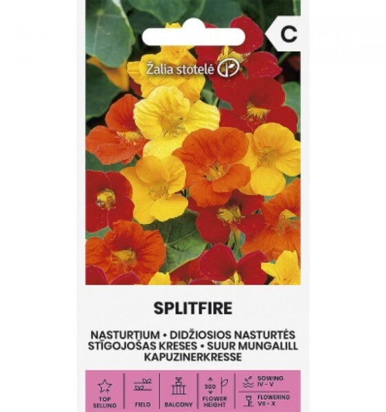 Suur mungalill Nasturtium Splitfire - Tropaeolum majus L.