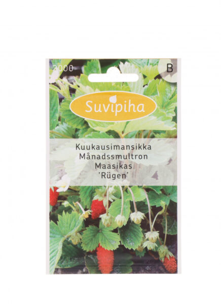 Kuumaasikas Rügen 0,08g B