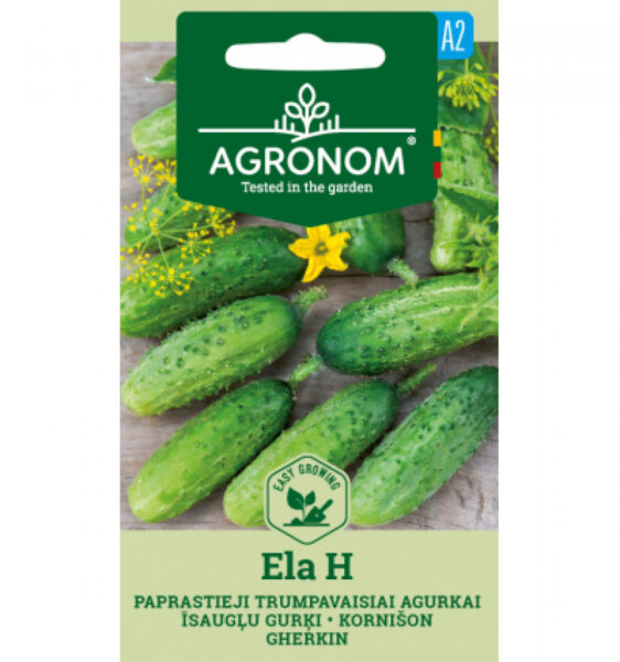 Kurk Ela H-Cucumis sativus L.