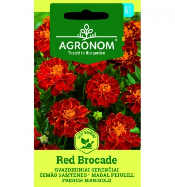 Madal peiulill French Red Brocade-Tagetes patula L.