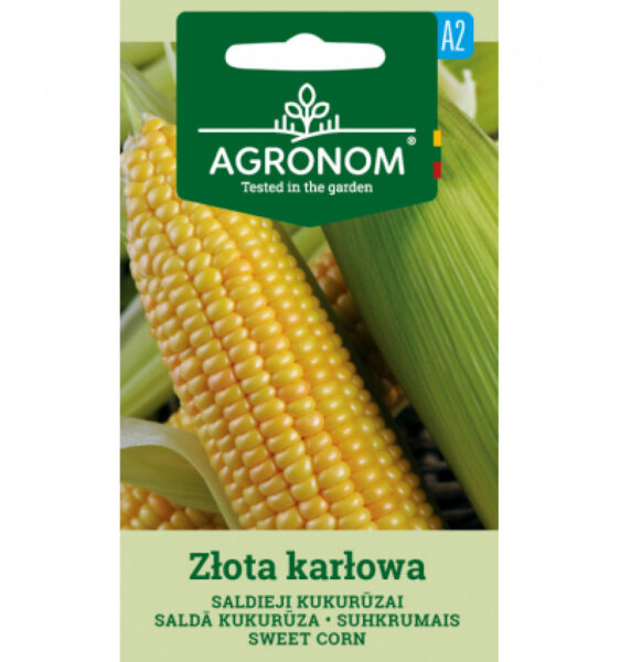 Magus mais Zlota Karlowa-Zea mays L. partim