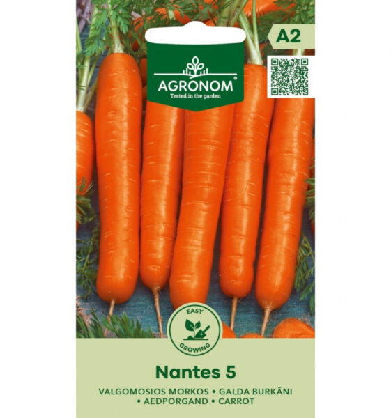 Porgand Nantes 5 -Daucus carota L.