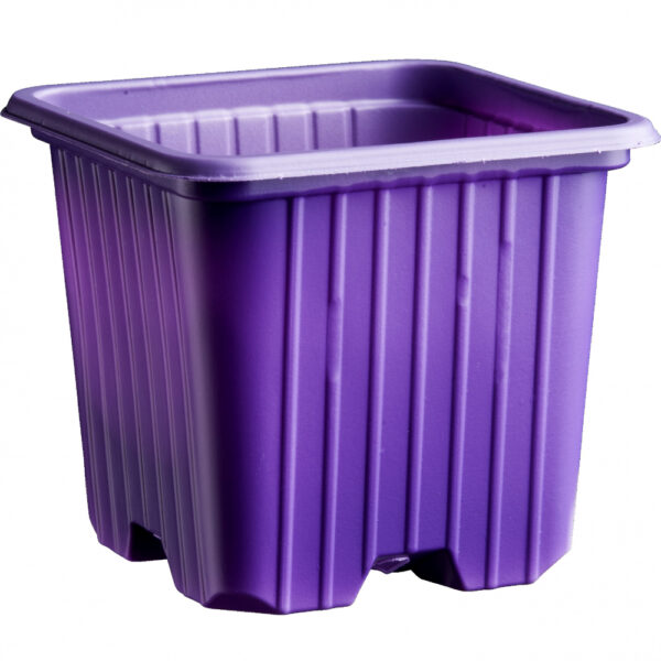 Nelikantpott 7 x 7 x 6,5cm lilla