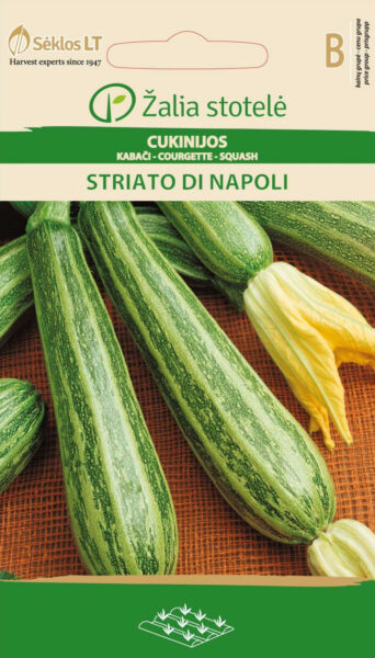 Suvikõrvits Striato di Napoli - Cucurbita pepo L.