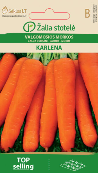 Porgand Karlena - Daucus carota L.