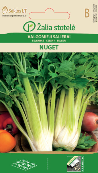 Varsseller Nuget - Apium graveolens L.