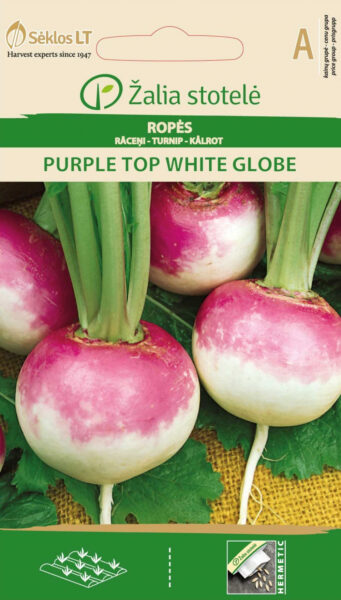 Kaalikas Purple top white globe - Brassica rapa L.