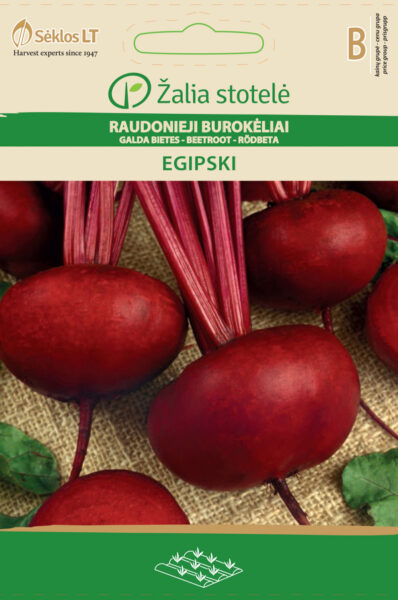 Peet Egipski - Beta vulgaris L.