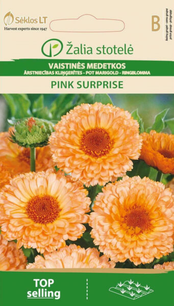 Harilik saialill Pot Marigold Pink Surprise - Calendula officinalis L.