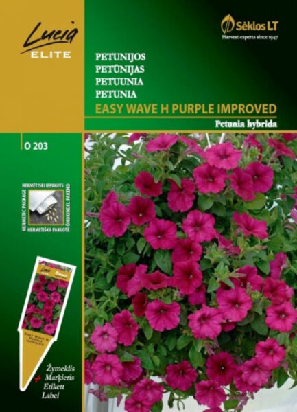 Petuunia ( Surfiinia) Wave H Purple Improved 6s