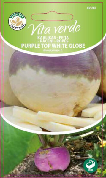 Kaalikas Purple top white Globe
