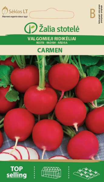 Redis Carmen - Raphanus sativus L.