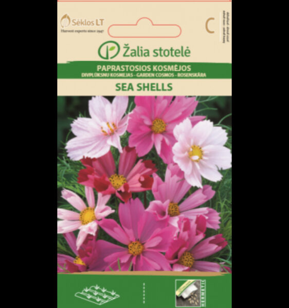 Harilik kosmos Cosmos Sea Shells Mix - Cosmos Bipinnatus Cav.