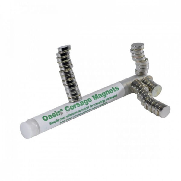 Oasis magnet 30tk/pakis