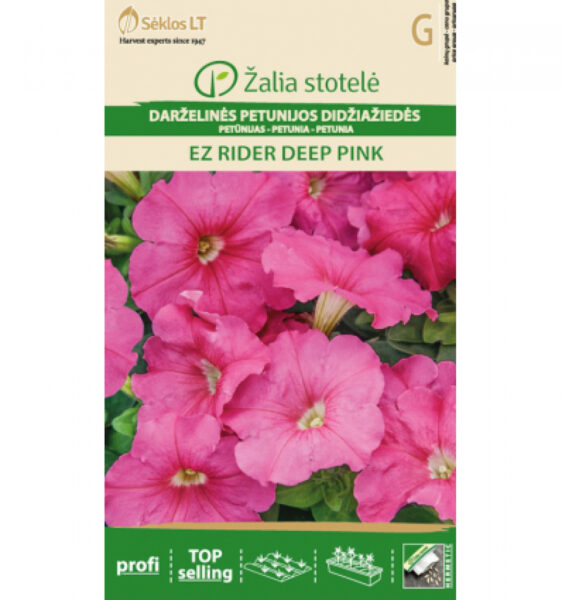 Petuunia Petunia Grand Ez Rider Deep Pink - Petunia Hybrida Grandiflora