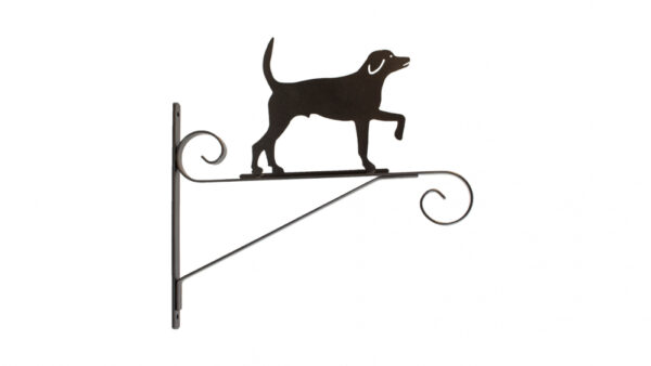 Amplikonks seinale Artevasi Koer lattrauast 34cm metallik antratsiit