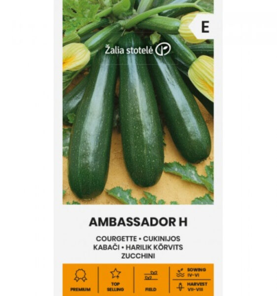 Suvikõrvits Ambassador H - Cucurbita pepo L.