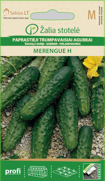 Kurk Merengue H - Cucumis sativus L.