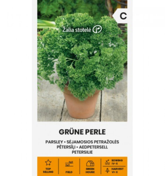 Käharpetersel Grüne perle - Petroselinum crispum (Miller) Nyman ex A. W. Hill