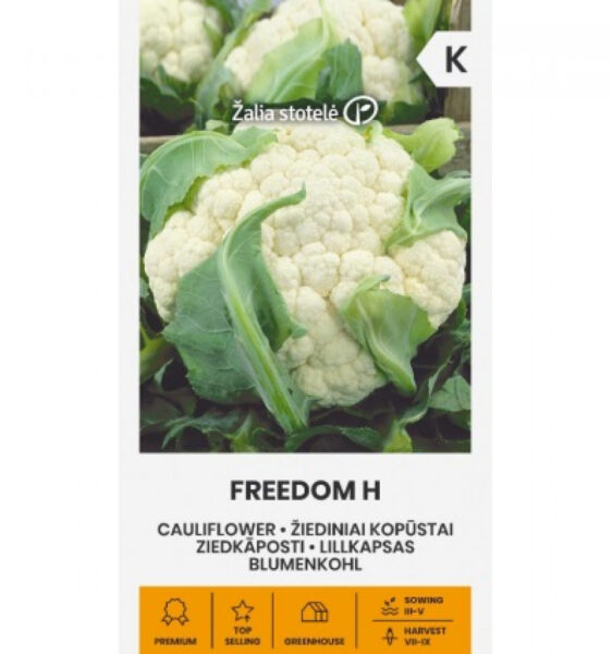 Lillkapsas Freedom H - Brassica oleracea L.