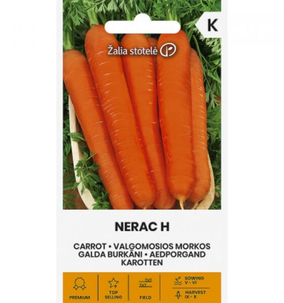 Porgand Nerac H - Daucus carota L.