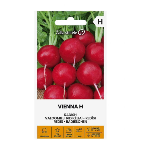 Redis Vienna H - Raphanus sativus L.