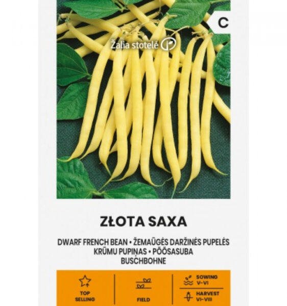 Spargeluba Zlota saxa - Phaseolus vulgaris L.