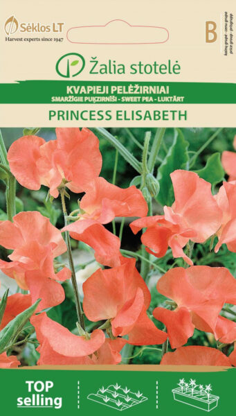 Lillhernes Sweet Pea Princess Elisabeth - Lathyrus odoratus L.