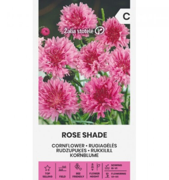 Rukkilill Cornflower Rose Shade - Centaurea L.