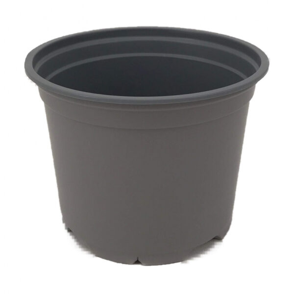 Ümarpott 10,5cm 5° L hall Desch 1550tk