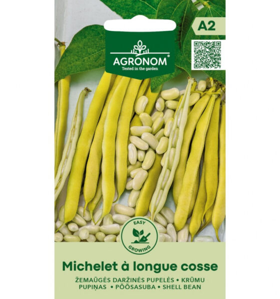 Põõsasuba Michelet A Longue Cosse - Phaseolus vulgaris L.